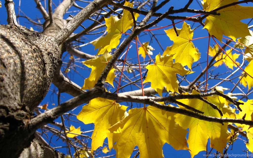 Autumn: Point_of_no_23