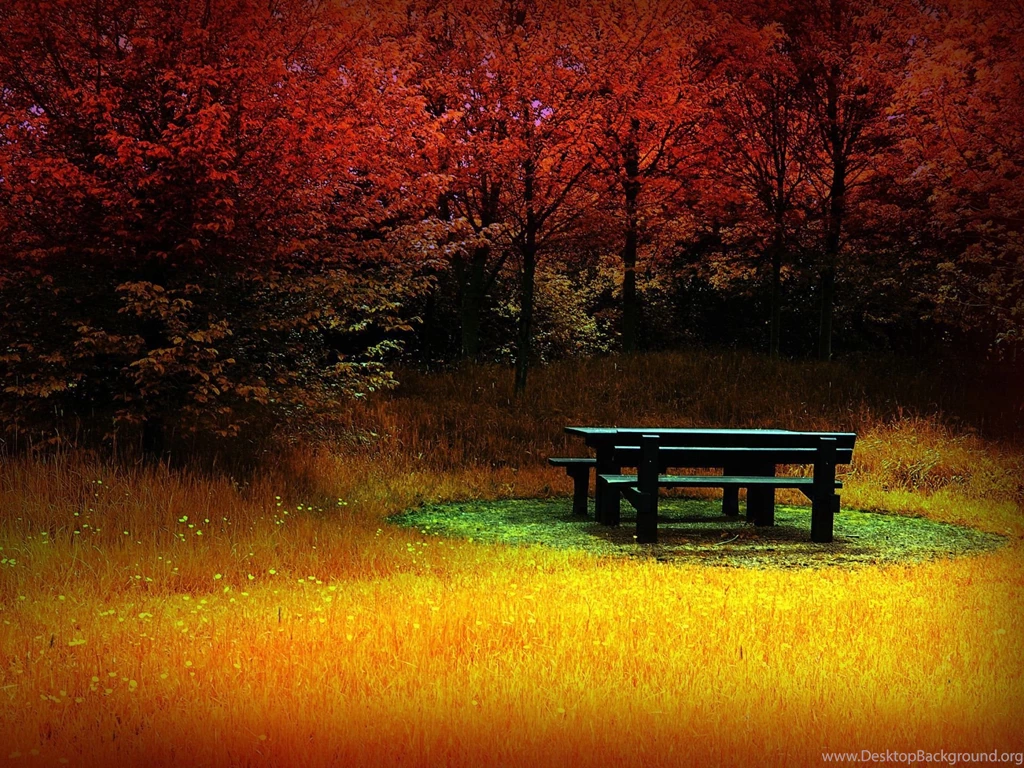 Widescreen Wallpapers HD Autumn End Newwallpapershits.com