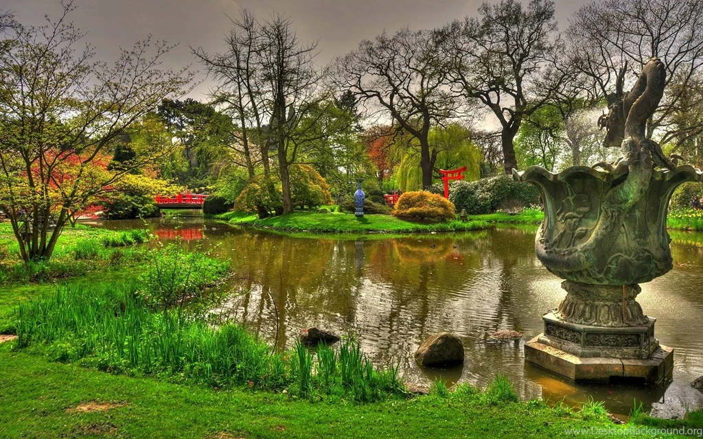 Lush Greenery Pictures Beautiful Gardens   WonderWordz