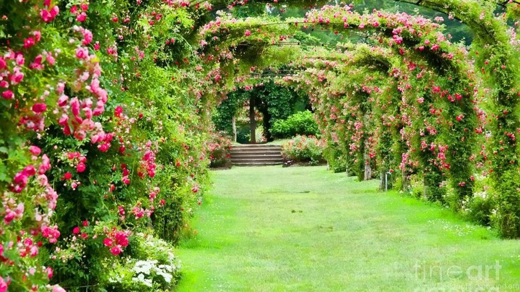 ROSE GARDEN WALLPAPER (