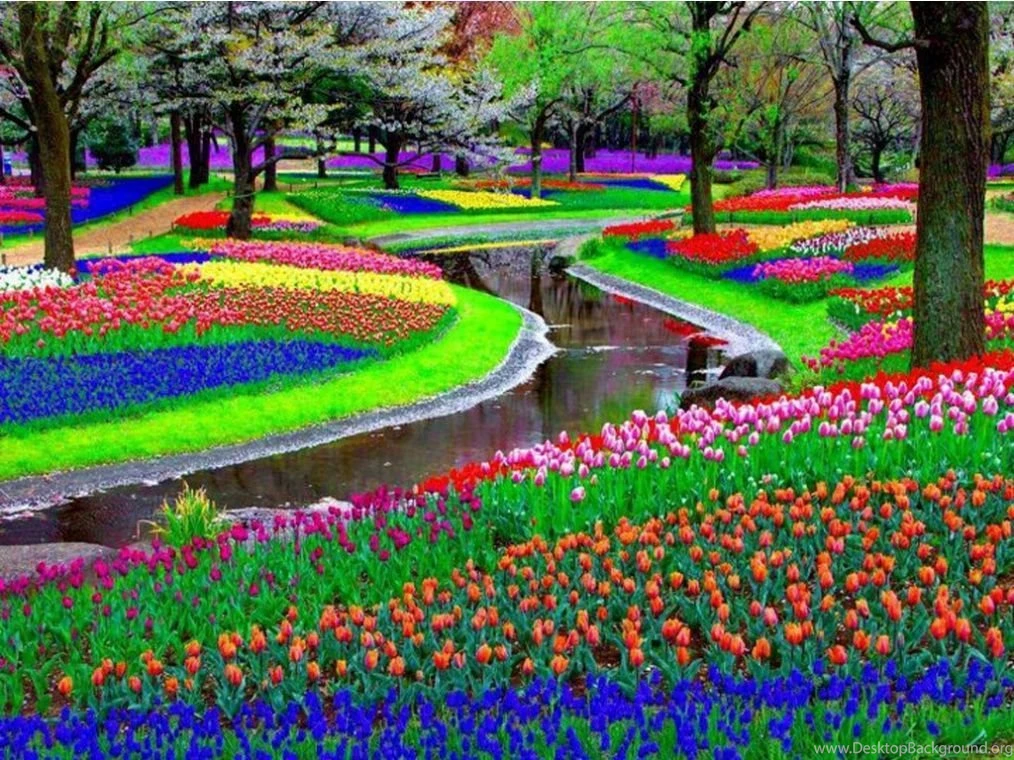 World Top Class Heart Garden Hd Wallpapers