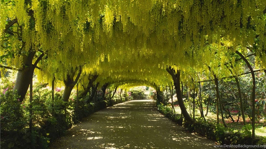 Hd Wallpapers Gardens 258362