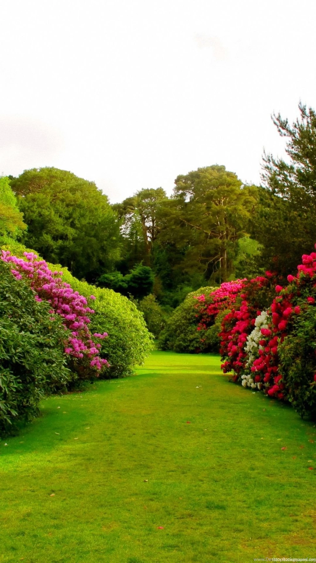 1080x1920 Flowers Grass Garden Wallpapers HD