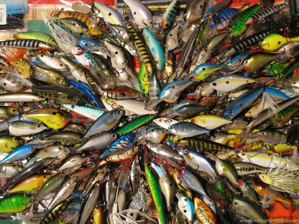 Gallery For Game Fishing Wallpapers