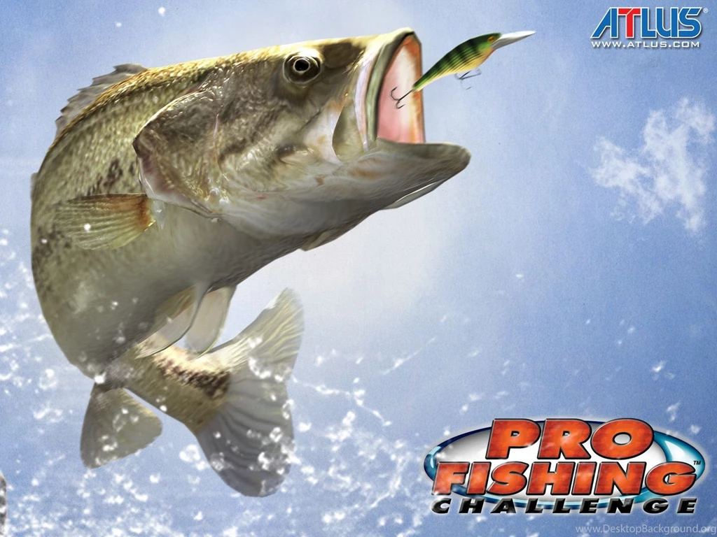 Bass Fishing Wallpapers Hd Wallpapers   19108