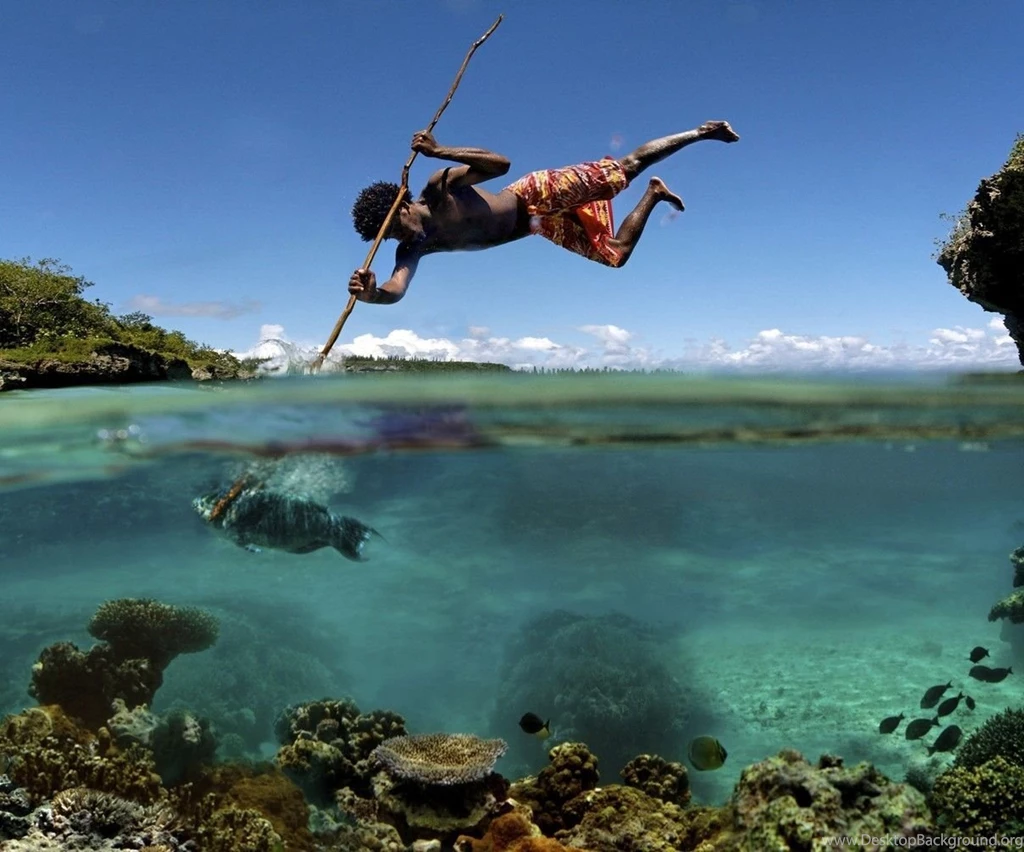 Fish Fishing Hunt Hunting Spears Split view Stabbing Best