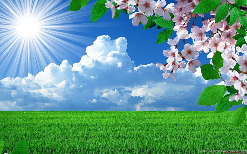 Gallery For Spring Weather Wallpapers