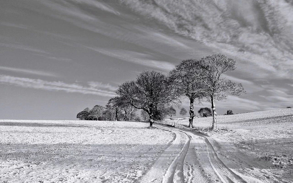 1280x800 Black And White Winter Desktop PC And Mac Wallpapers
