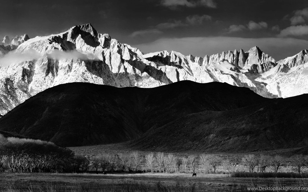 Looking For Default Black & White Wallpapers From OS X (Snow ...