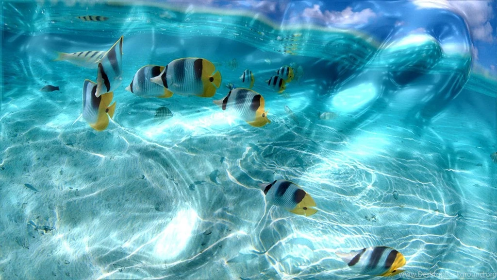 Watery Desktop 3D Screensaver 3.9993   Free Download