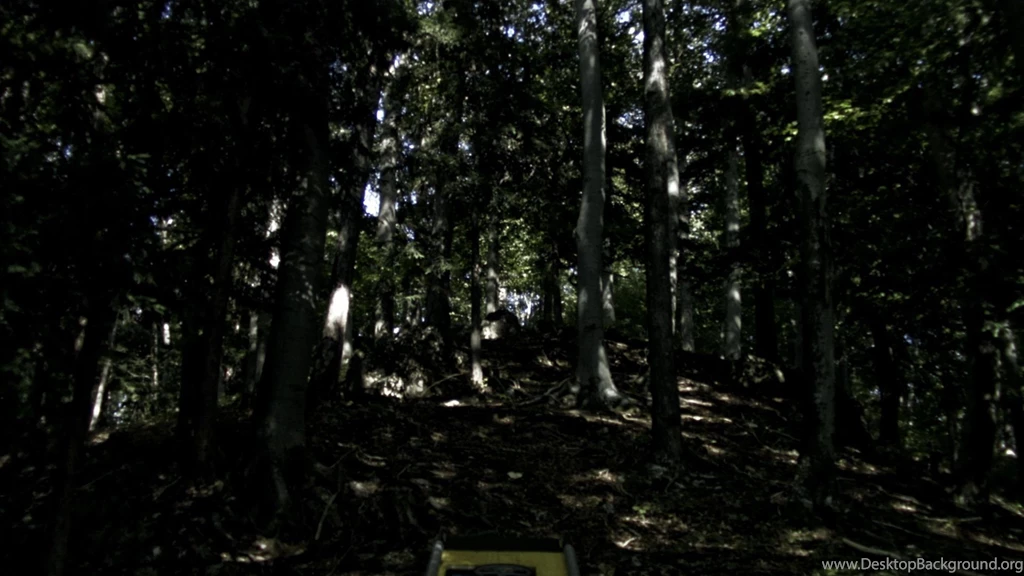 Johann Lurf   VERTIGO RUSH