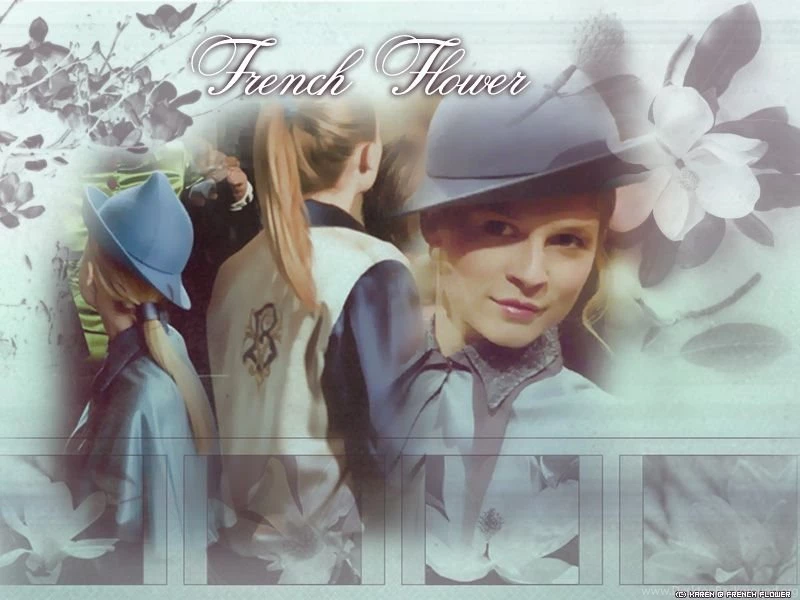 Clemence Poesy   Clemence Poesy Wallpapers (208030)   Fanpop