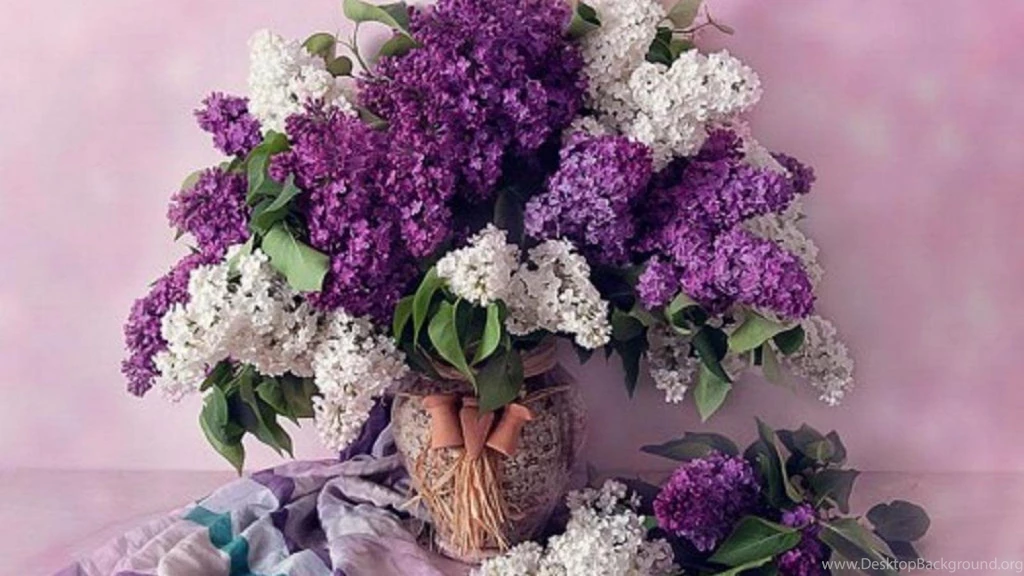 BEAUTIFUL LILACS WALLPAPER (