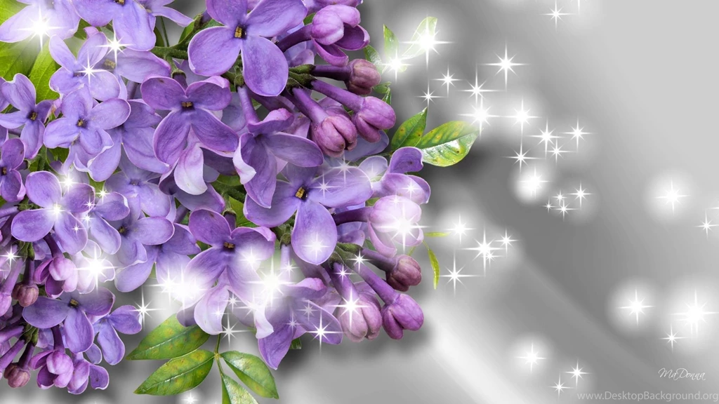 Fragrance Of The Lilacs Wallpapers