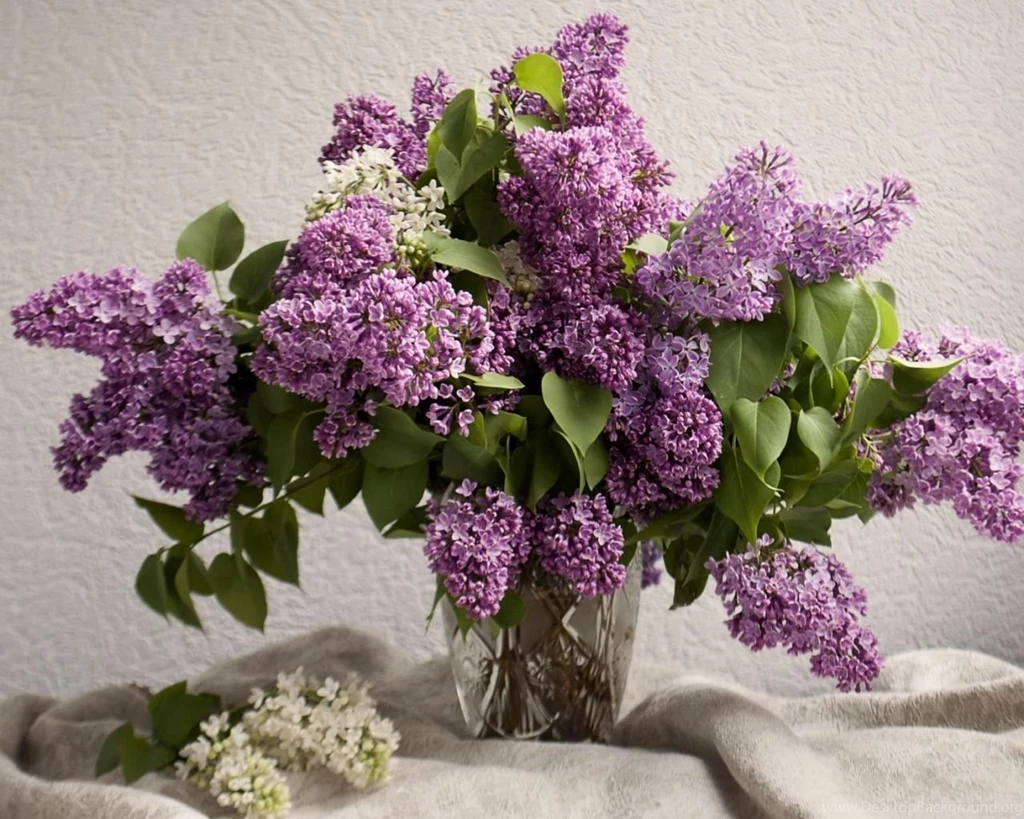 Download Wallpapers 1280x1024 Lilacs, Bouquet, Vase, Spring, Mood ...