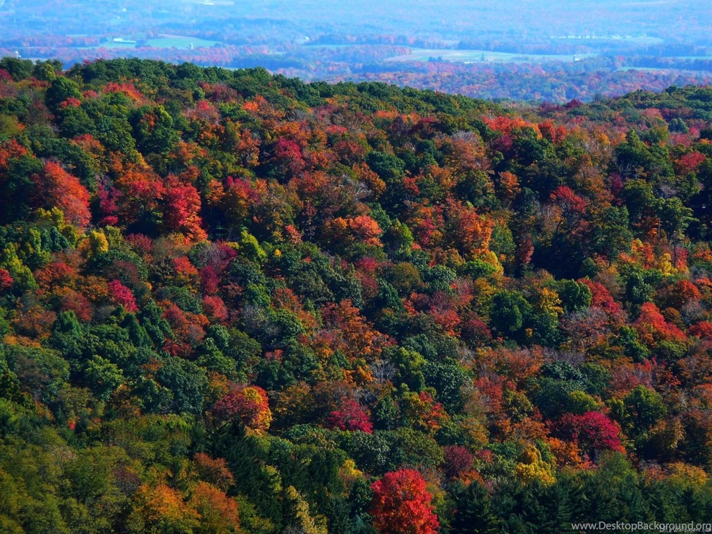 MLeWallpapers.com Appalachian Mountains In Fall