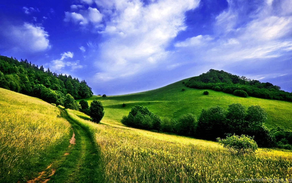 Hd Nature Widescreen Wallpapers For Desktop   Hd Nature Widescreen ...