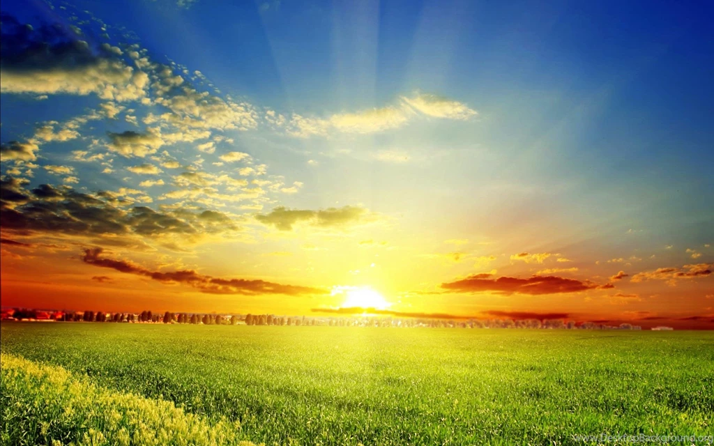 Spring Wallpapers 1080p Tag WalOps.com