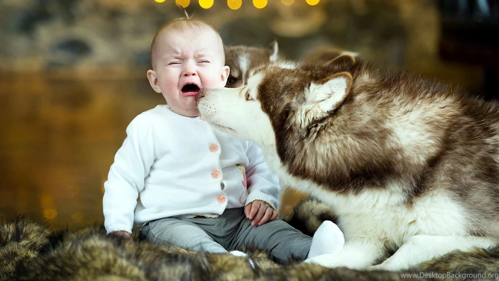 Cute baby and dog pictures download.jpg