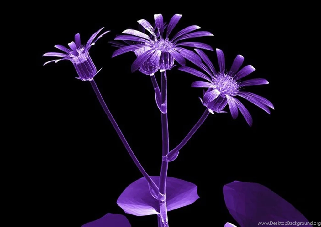 Quopinslok: Backgrounds 3d Flower