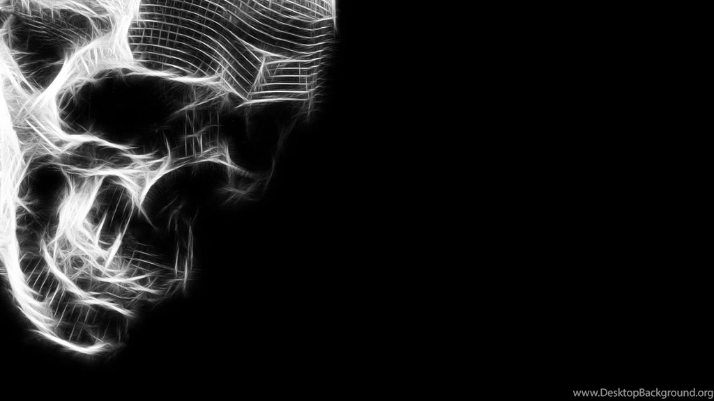 Black Skull, White, 2560x1440 Wallpapers And Free Stock Photo