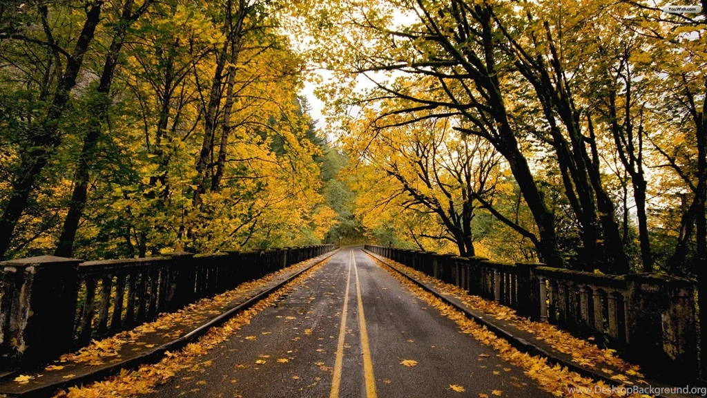 Way Wallpapers Hd 1565001