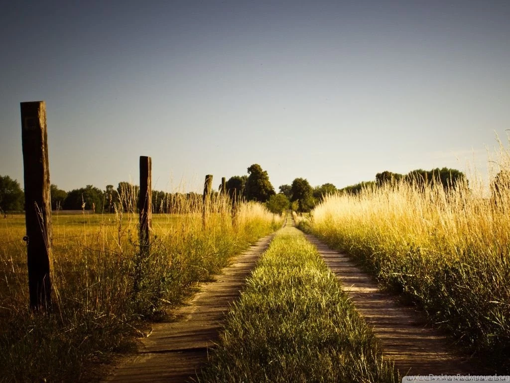 Country Road, Late Summer HD Desktop Wallpapers : High Definition ...