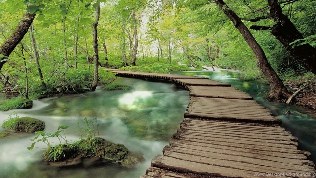 Dreamscene.org Gallery/Download Free Dreamscenes, Video Loops ...