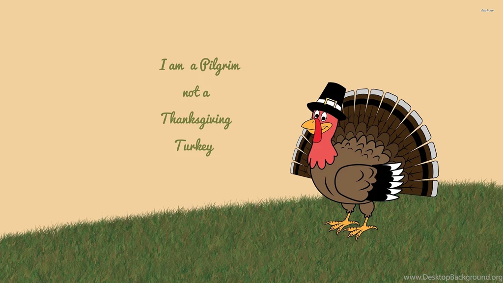 I Am A Pilgrim, Not A Thanksgiving Turkey Wallpapers Holiday ...