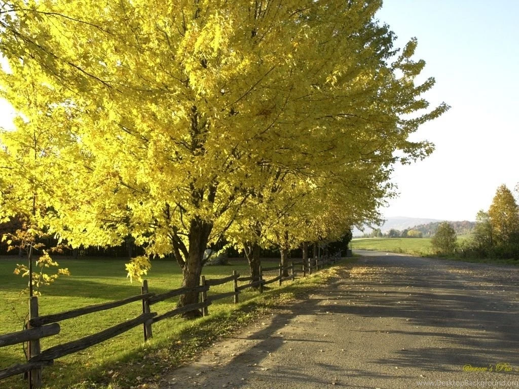 1024x768 Walk This Way Desktop PC And Mac Wallpapers