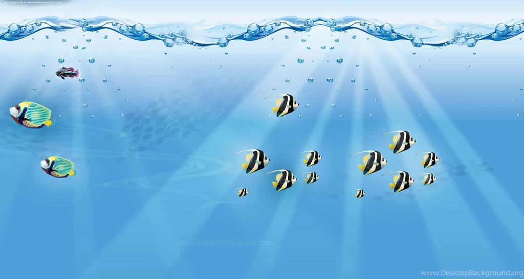 Twitter Backgrounds – Fishes In A Fish Tank Twitterevolutions