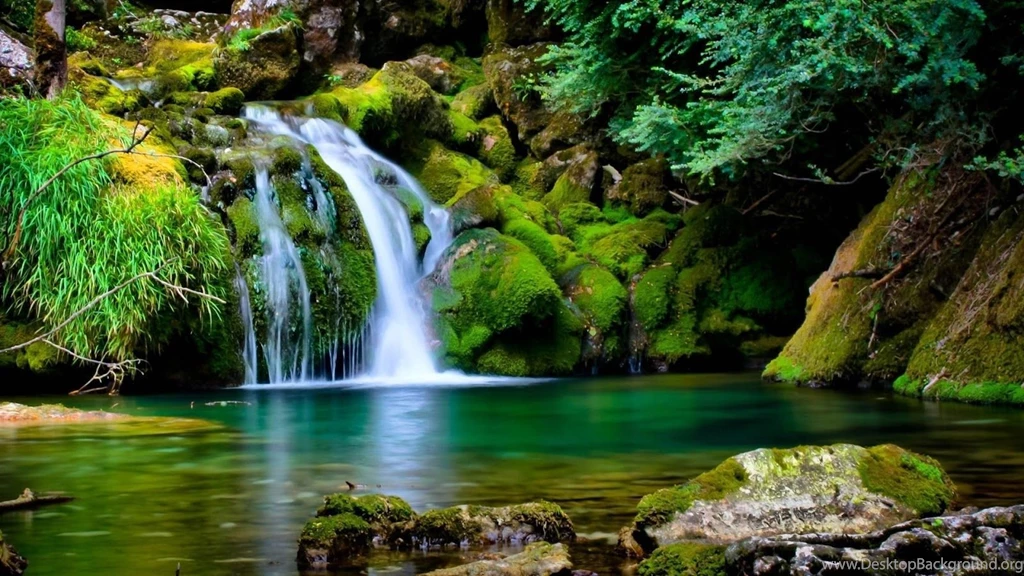 3d Images Of Nature Free Download 2 High Definition : Widescreen ...