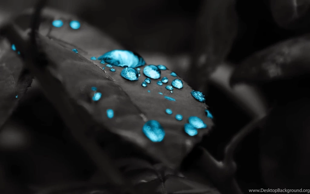 Wallpapers HD