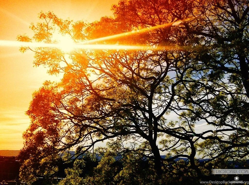 Best And Popular Wallpapers Of 2013
