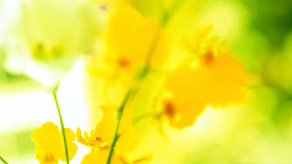 Desktop Best Wallpapers