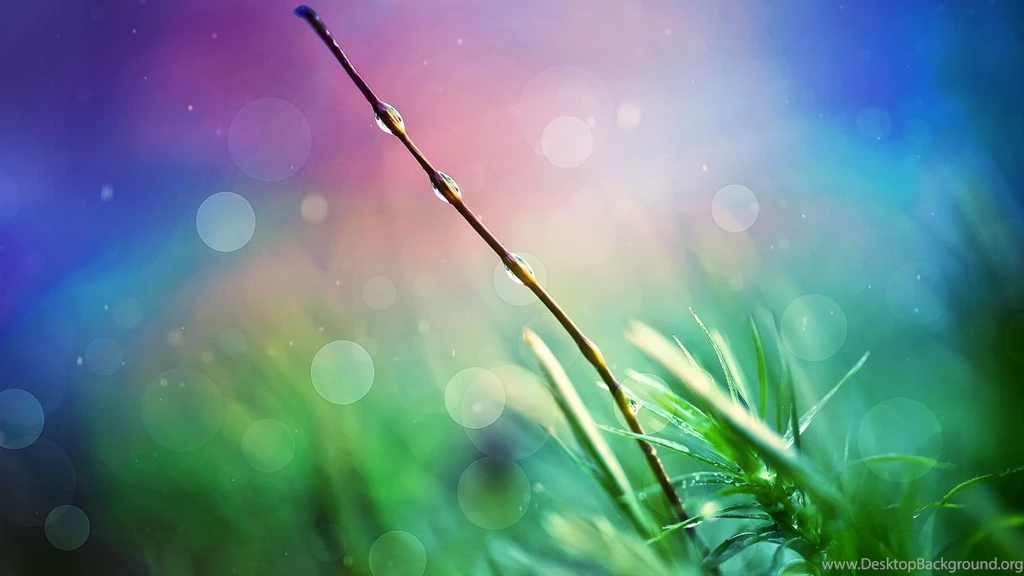 Nature Heaven Wallpapers