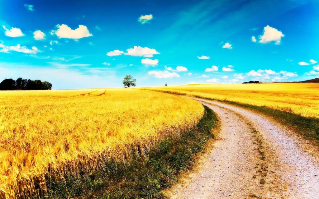 Theme Bin» Blog Archive » Road To Heaven HD Wallpapers