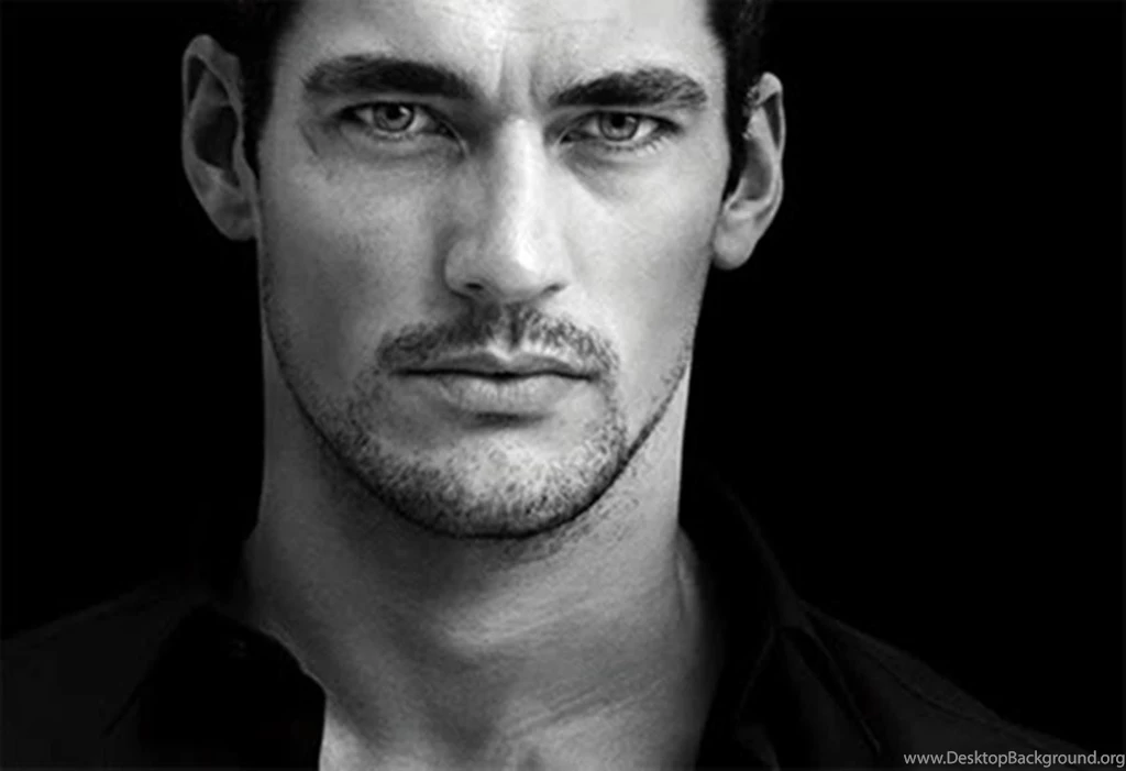 David Gandy   (