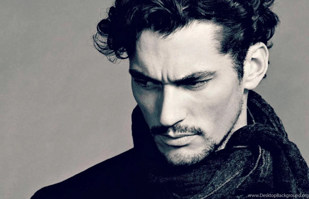 David Gandy   (