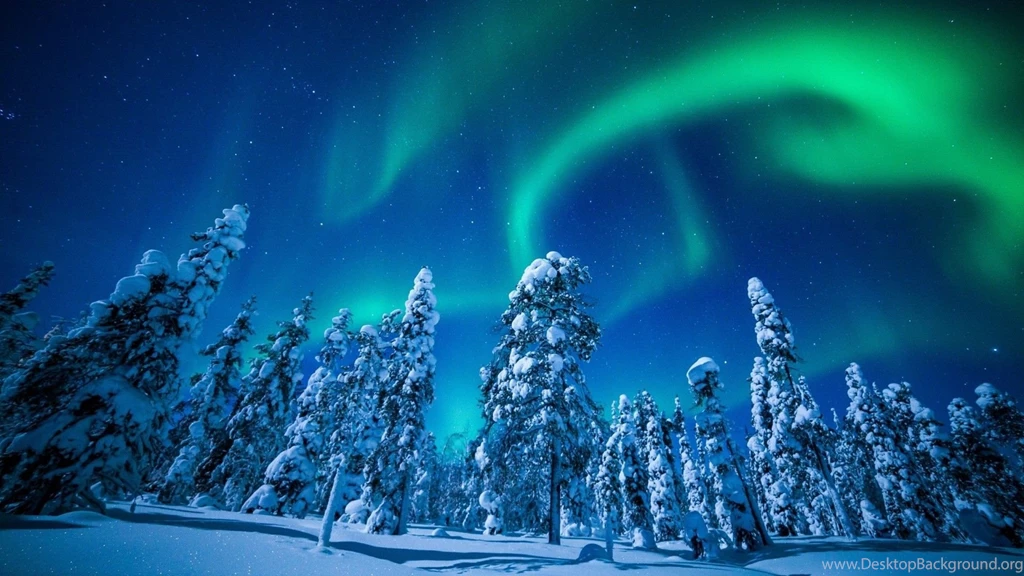 Northern Lights Finland Snow Trees Wallpapers 1920x1080