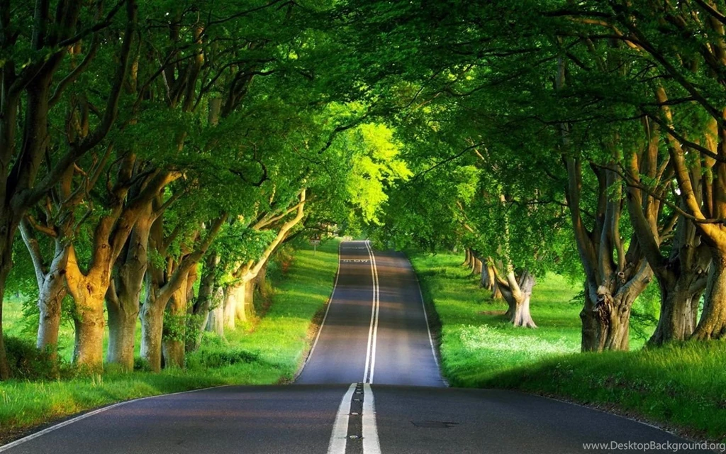 Space And Green Nature Desktop Wallpapers And Backgrounds