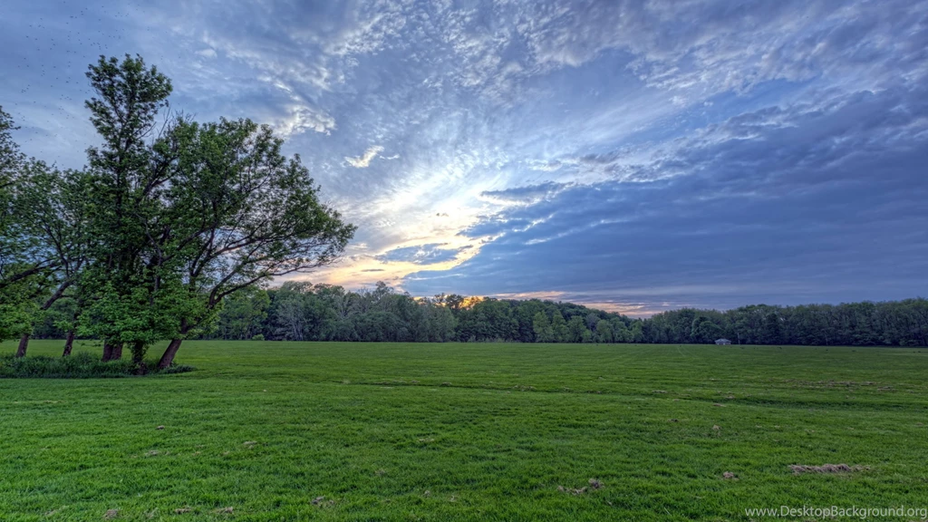 Download Wallpapers 3840x2160 Field, Meadow, Greens, Grass, Sky ...