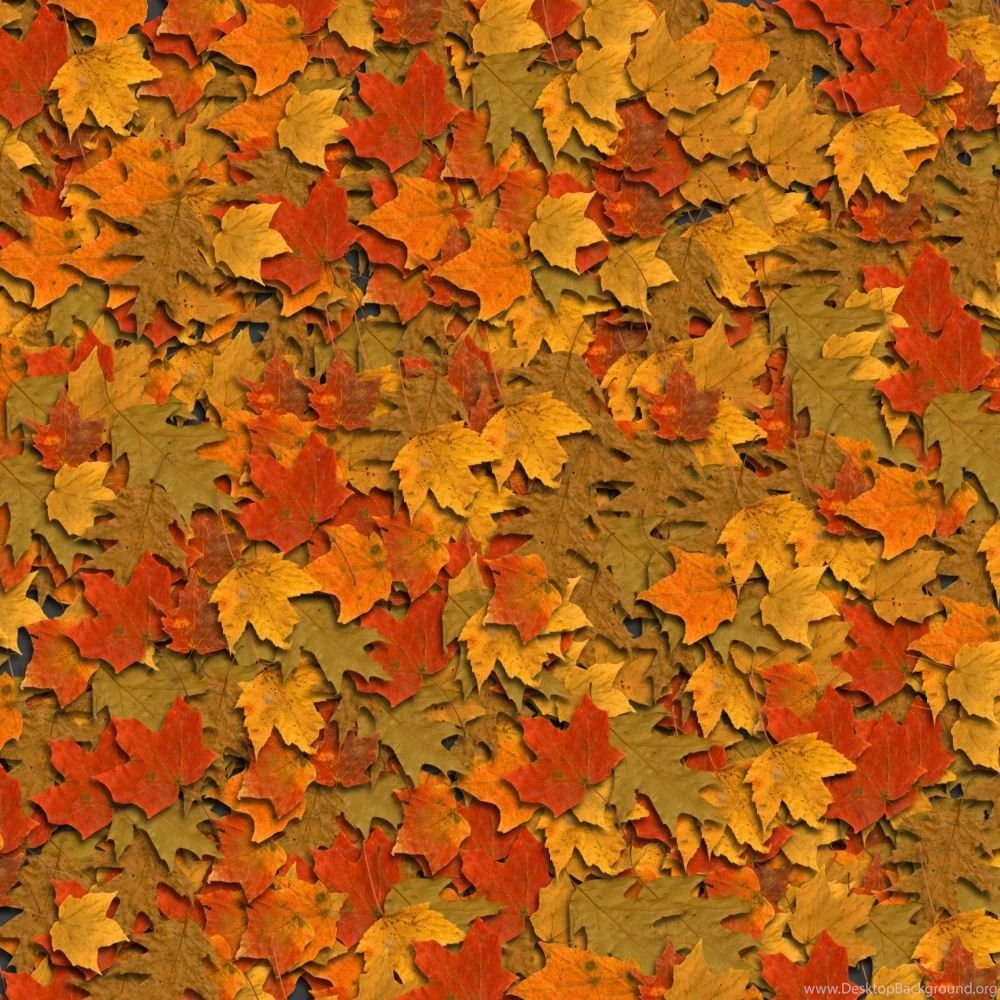 Fall Leaves Twitter Backgrounds, Fall Leaves Twitter Themes