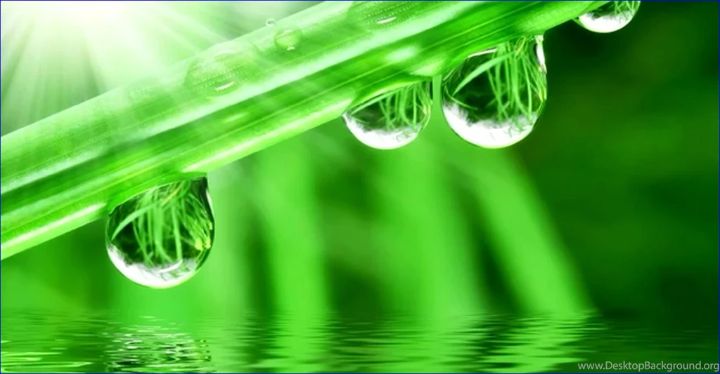 Water Drops Desktop Backgrounds Wallpapers