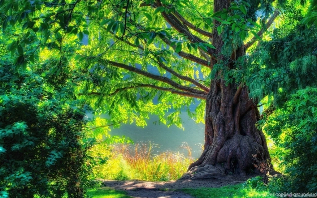 Nature Wallpapers Archives Page 3 Of 11 Free Desktop ...