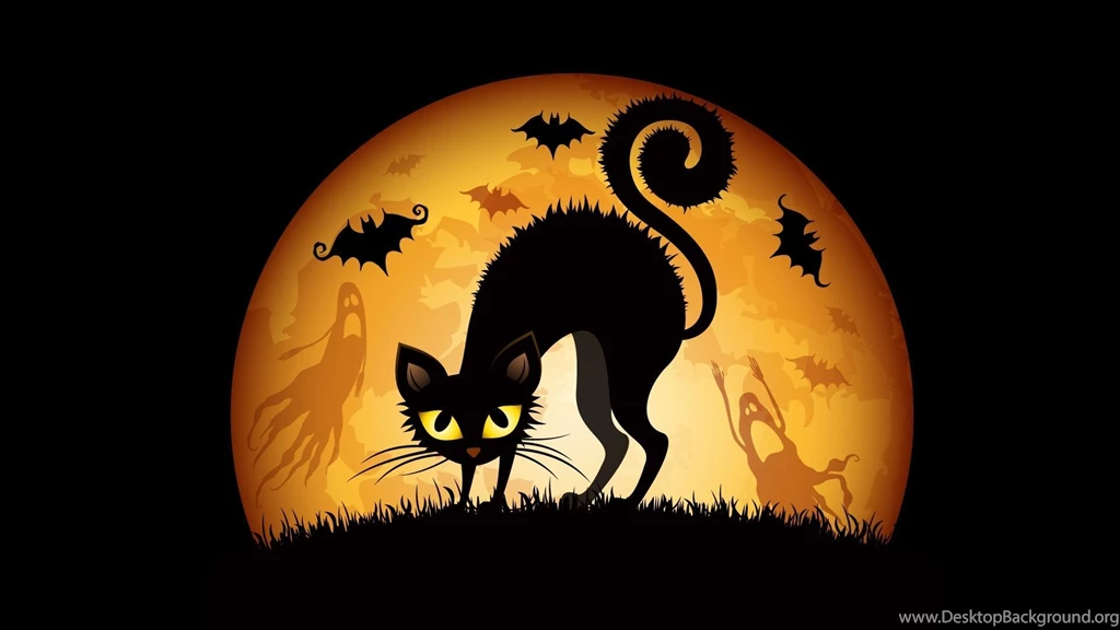 Halloween Cats Bats Wallpapers MixHD Wallpapers