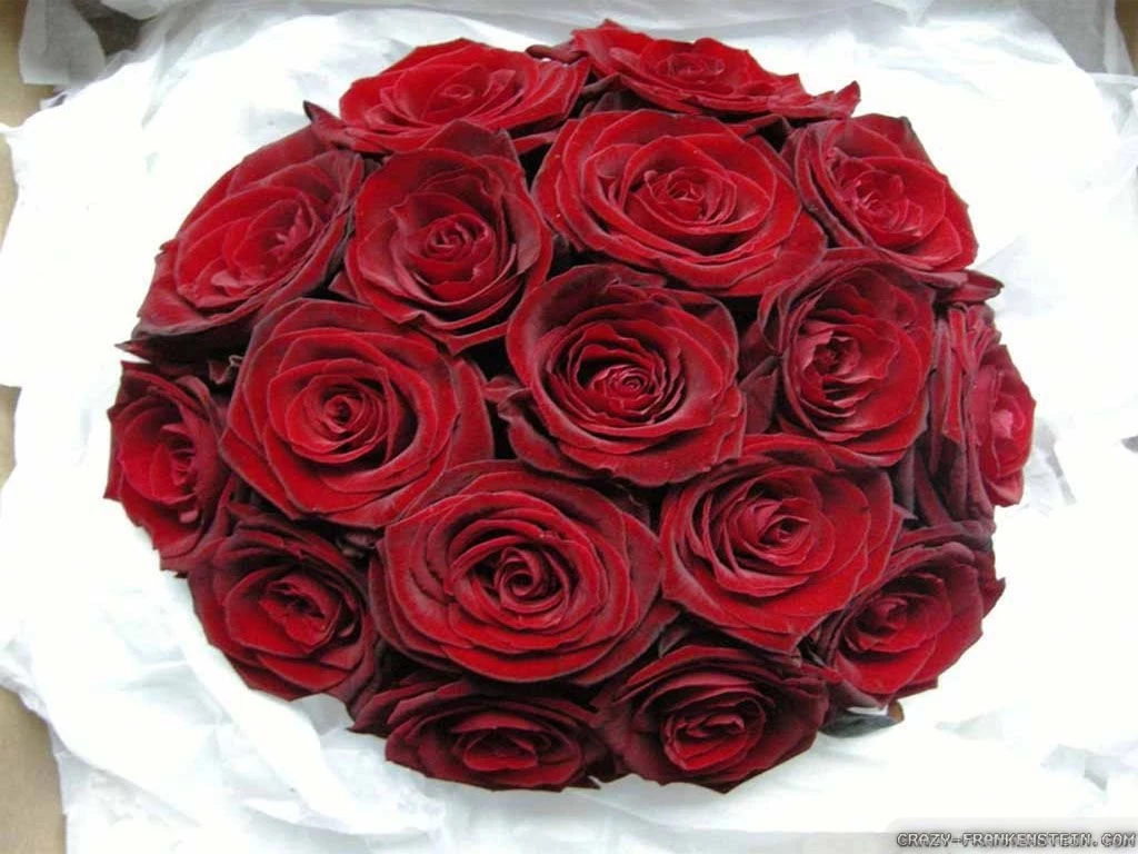 Wedding Flowers Wallpapers 2 Crazy Frankenstein