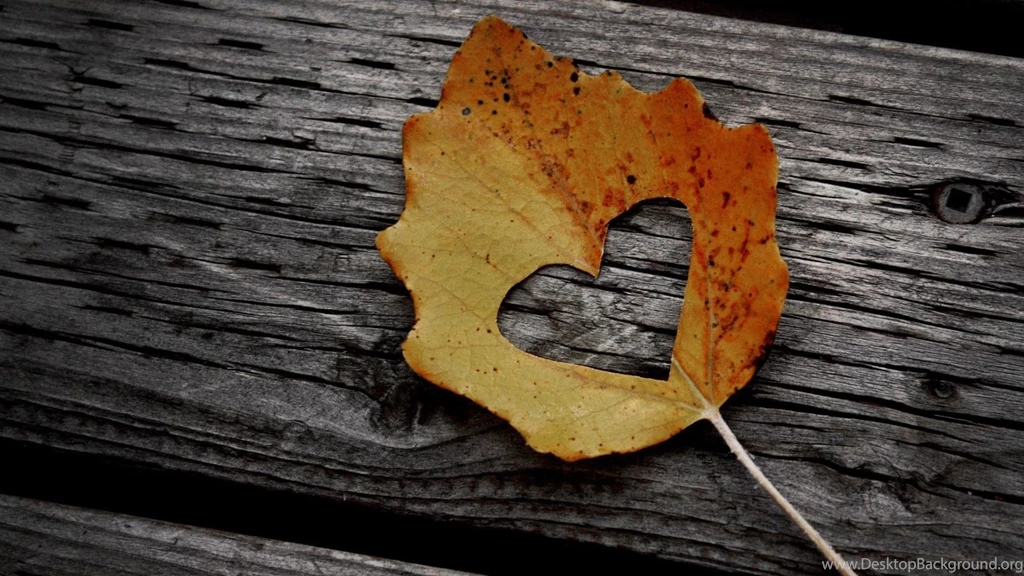 Wallpapers HD Love Wallpapers