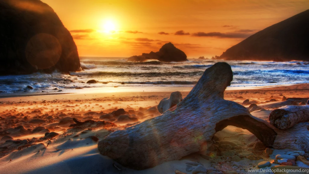 Wind And Driftwood Widescreen Wallpapers