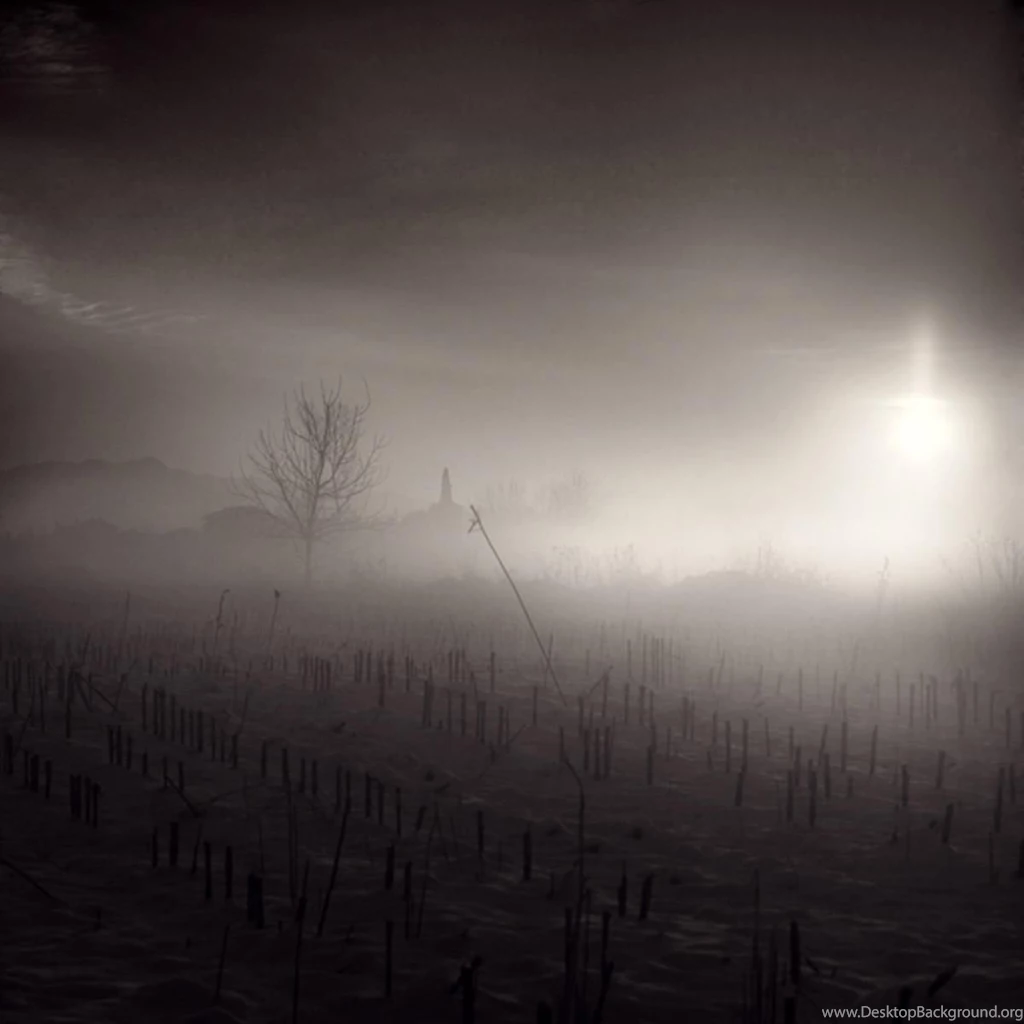 Lights In Darkness Free Desktop Backgrounds Free Wallpapers Image